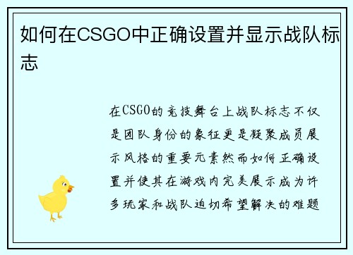 如何在CSGO中正确设置并显示战队标志
